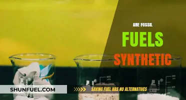 Fossil Fuels: Synthetic or Natural?