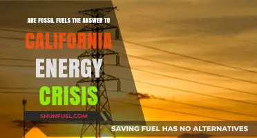 Fossil Fuels: California's Energy Crisis Solution?