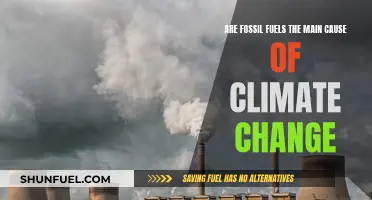 Fossil Fuels: Main Culprit of Climate Change?