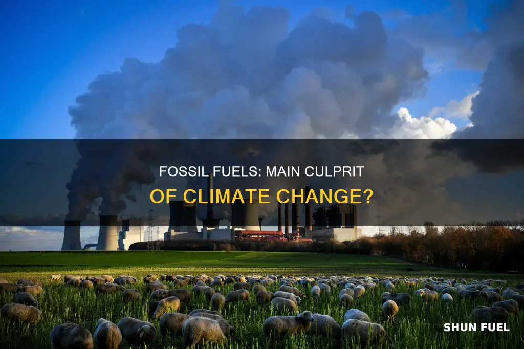 are fossil fuels the main cause of climate change