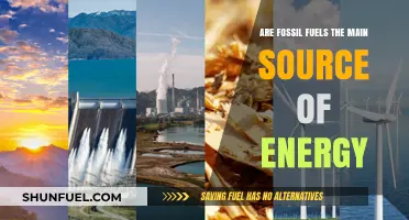 The Future of Energy: Fossil Fuels' Role