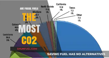 Fossil Fuels: The Worst CO2 Offenders?