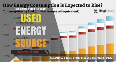 Fossil Fuels: The World's Most Used Energy Source?