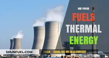 Fossil Fuels: Thermal Energy Sources Explained