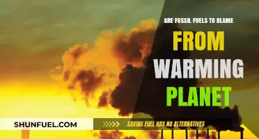 Fossil Fuels: Warming Our Planet?
