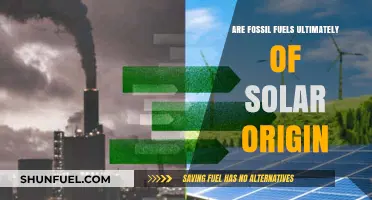 Solar Power: Fossil Fuels' Ancient Source