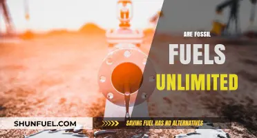 Fossil Fuels: Finite Resources, Infinite Problems