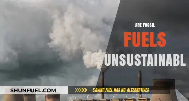 Fossil Fuels: Unsustainable Energy Sources for Our Future