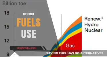 Fossil Fuels: Energy's Past, Not Future