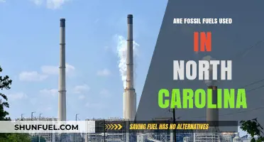 Fossil Fuels in North Carolina: What's the Situation?