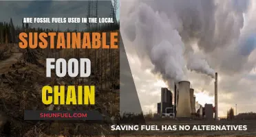 Fossil Fuels: Sustainable Food Chain's Dark Secret?