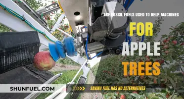 How Fossil Fuels Help Apple Tree Farmers