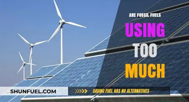 Fossil Fuels: Unsustainable Usage, Uncertain Future