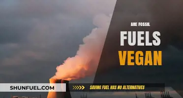 Veganism and Fossil Fuels: A Complex Relationship