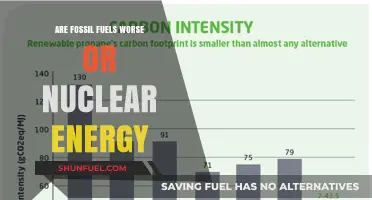 Fossil Fuels vs Nuclear Energy: Which is the Lesser Evil?