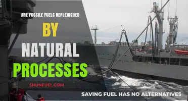 Fossil Fuels: Nature's Finite Energy Source