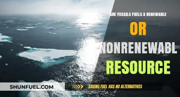 Fossil Fuels: Our Finite Energy Source