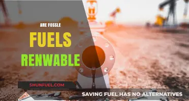 Fossil Fuels: Renewable or Finite? Debunking Energy Myths