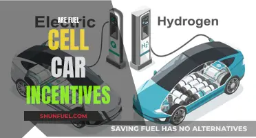 Unlocking the Future: Exploring Fuel Cell Car Incentives and Benefits