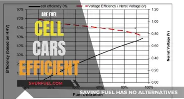 The Efficiency of Fuel Cell Cars: A Comprehensive Analysis