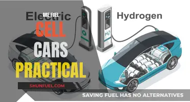 Are Fuel Cell Cars the Future of Sustainable Driving?