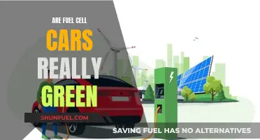 Green Energy, Green Cars? Unveiling Fuel Cell Technology's Environmental Impact