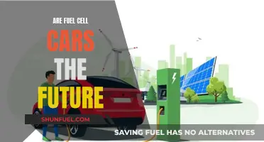 The Future of Green Energy: Are Fuel Cell Cars the Answer?