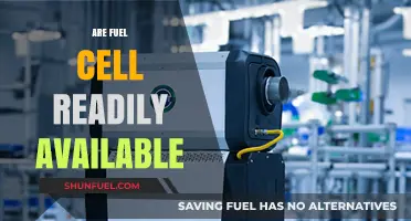 Are Fuel Cells Readily Available? Exploring Accessibility and Market Presence