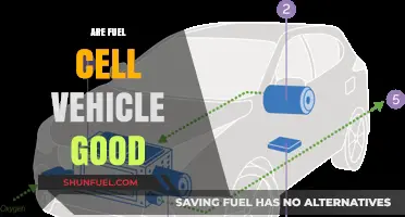 Are Fuel Cell Vehicles the Eco-Friendly Future of Transportation?