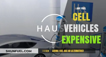 Are Fuel Cell Vehicles Expensive? Cost Analysis and Insights