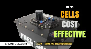 Are Fuel Cells Cost-Effective? Analyzing Efficiency and Economic Viability