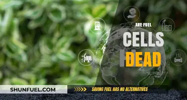 Are Fuel Cells Dead? Exploring Their Future in a Green Energy World