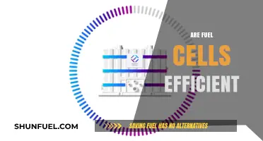 Are Fuel Cells Efficient? Exploring Energy Output and Environmental Impact