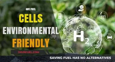 Are Fuel Cells Eco-Friendly? Unveiling Their Environmental Impact and Benefits
