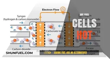 Are Fuel Cells Hot? Exploring Their Temperature and Efficiency
