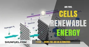 Are Fuel Cells Truly Renewable? Exploring Their Energy Sustainability