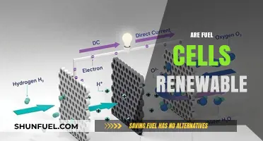 Are Fuel Cells Renewable? Exploring Sustainability and Energy Sources