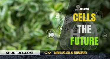 Fuel Cells: The Sustainable Energy Solution for Tomorrow's World?