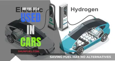 Powering the Future: The Rise of Fuel Cell Cars