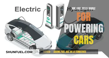 Fuel Cells: The Future of Green Car Power?