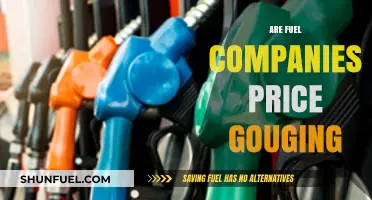 Are Fuel Companies Price Gouging? Analyzing Rising Gas Prices and Profits