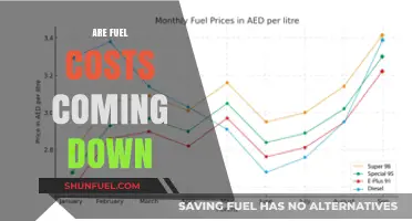 Will Fuel Costs Finally Drop? Analyzing Trends and Future Predictions
