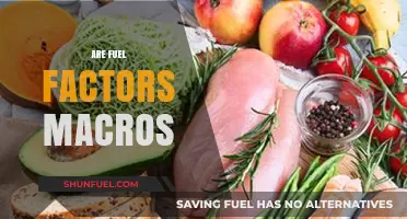 Are Fuel Factors Macros? Understanding Nutrition and Energy Sources