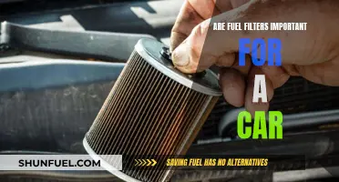 The Vital Role of Fuel Filters in Car Maintenance