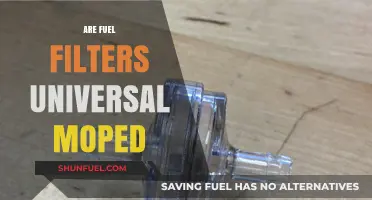 Are Fuel Filters Universal for Mopeds? Compatibility Explained