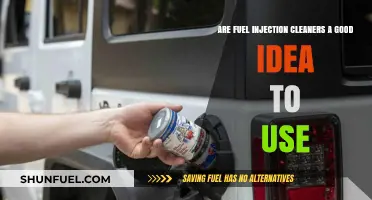 Fuel Injection Cleaners: Effective Maintenance or Waste of Money?