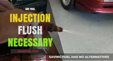 Is a Fuel Injection Flush Necessary for Your Vehicle?