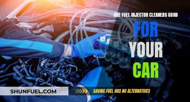 Fuel Injector Cleaners: Car Maintenance Essential?