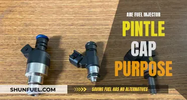 What Do Fuel Injector Pintle Caps Do?