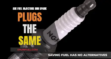 Fuel Injectors and Spark Plugs: What's the Real Difference?